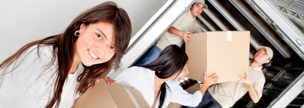 Professional Removalists White Hills VIC